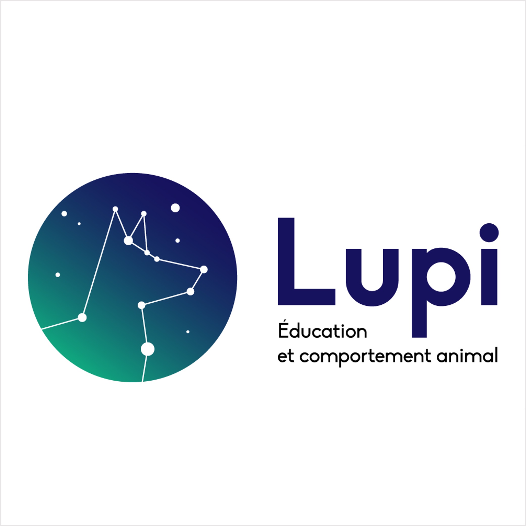 logo_Lupi.jpg