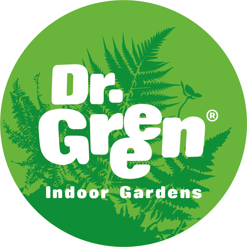 logo_drgreen_def_valeur_rtm.png