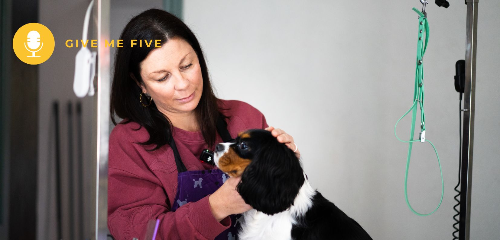 Bannière GMF - Interview site internet (4)